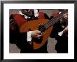 Street Minstrels, Santiago De Compostela, Spain by David Barnes Limited Edition Print