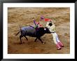 Bullfights, San Luis Potosi, Mexico by Russell Gordon Limited Edition Pricing Art Print
