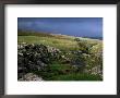 Pen-Y-Ghent, Hesleden Beck, Pennines, Yorkshire, England, United Kingdom by Adam Woolfitt Limited Edition Print