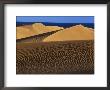 Sand Dunes, Maspalomas, Gran Canaria, Canary Islands, Spain, Atlantic by Marco Simoni Limited Edition Print