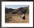 Bedouin Man Riding Camel, Sinai, Egypt, North Africa, Africa by Nico Tondini Limited Edition Print