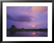 Okavango Delta, Botswana, Africa by Paul Allen Limited Edition Print