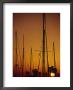Sunset And Boat Masts, Ventura Harbor, Ca by Jeff Greenberg Limited Edition Print
