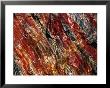 Jasper Stone, Pilbara, Australia by Peter Ptschelinzew Limited Edition Pricing Art Print