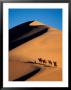 Camel Caravan At Sunset, Silk Road, China by Keren Su Limited Edition Pricing Art Print