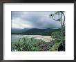 Cape Tribulation, Near Where Captain Cook Ran Aground On Reef, Queensland, Australia by Robert Francis Limited Edition Print