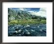 Gardner River, Usa by Stan Osolinski Limited Edition Pricing Art Print