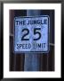 The Jungle 25 Mph Street Sign by Harvey Schwartz Limited Edition Print