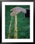 Small Glass Beads Fall Like Rain From A Womans Hand by Paul Chesley Limited Edition Print