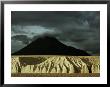 Sheer 100-Foot Cliffs Of Eroded Ash Rise Before Mount Katolinat by Winfield Parks Limited Edition Print