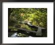 Pond And Walkway In Oyama Jinja Shrine, Kanazawa, Ishikawa Prefecture, Japan, Asia by Chris Kober Limited Edition Print