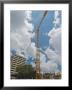 Construction Crane, Florida, Usa by David M. Dennis Limited Edition Print