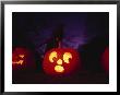 Night View Of Illuminated Jack-O-Lanterns With Fake Crow Perched Atop by Bill Curtsinger Limited Edition Print