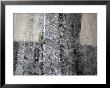 Tire Tracks And Footprints Run Through Melting Snow In A Crosswalk by Cotton Coulson Limited Edition Print