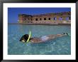 Swimmer At Fort Jefferson, Garden Key, Dry Tortugas, Florida, Usa by Greg Johnston Limited Edition Print