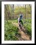 Woman Mountain Biker Blur With Flowers On Singletrack Trail by Skip Brown Limited Edition Print