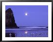 Full Moon And Seagulls At Sunrise, Cannon Beach, Oregon, Usa by Janell Davidson Limited Edition Pricing Art Print
