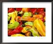 Peppers, Ferry Building Farmer's Market, San Fransisco, California, Usa by Inger Hogstrom Limited Edition Print