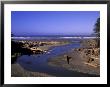 Kalaloch Beach And Creek, Olympic National Park, Washington, Usa by Jamie & Judy Wild Limited Edition Pricing Art Print