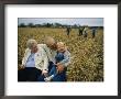 Smiling Grandparents Hold Their Grandson by Joel Sartore Limited Edition Print