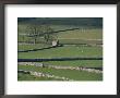 Stone Walls, Malham And Wharfedale, Yorkshire, England, United Kingdom by Adam Woolfitt Limited Edition Print