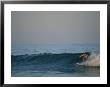 A Woman Surfing In Baja California by Jimmy Chin Limited Edition Print