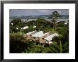 Village Of Russell, Bay Of Islands, New Zealand by Mark Segal Limited Edition Print