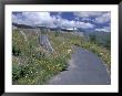 Visitors Center At Coldwater Ridge, Mt. St. Helens, Washington, Usa by Jamie & Judy Wild Limited Edition Print