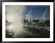 Upper Geyser Basin With Steam Rising, Yellowstone National Park by Norbert Rosing Limited Edition Print