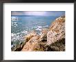 Rocky Shoreline With Salt Crystals, Dead Sea, Jordan by Cindy Miller Hopkins Limited Edition Print