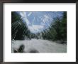 Water Sprays Splash Rafters On The Talkeetna Canyon Rapids by Rich Reid Limited Edition Print