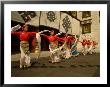 Tibetan Dancers Perform At The Chinese Ethnic Culture Park by Richard Nowitz Limited Edition Print