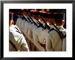 Soldiers In Bastille Day Parade, Paris, Ile-De-France, France by Dan Herrick Limited Edition Print
