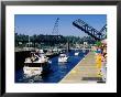 Onlookers At Hiram Chittenden Locks, Seattle, Washington by John Elk Iii Limited Edition Print