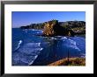Coastline At Piha Dominated By Lion Rock, New Zealand by Ross Barnett Limited Edition Print