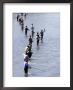 Fishermen Line Ship Creek During Salmon Run, Anchorage, Alaska by Brent Winebrenner Limited Edition Print