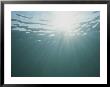 Rays Of Sunight Reach Into The Gulf Of Mexico by Stephen Alvarez Limited Edition Print