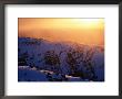 Winter Sunset With Mist From Mt. Carruthers, Kosciuszko National Park, New South Wales, Australia by Grant Dixon Limited Edition Pricing Art Print