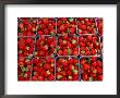 Strawberries For Sale, Bergen, Norway by Anders Blomqvist Limited Edition Print