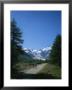 A Couple Walks Toward The Morteratsch Glacier In Switzerland by Taylor S. Kennedy Limited Edition Print