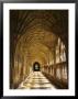 The Great Cloister At Gloucester Cathedral, Gloucester, United Kingdom by Glenn Beanland Limited Edition Print
