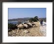 Shepherd And Sheep, Island Of Skiros, Sporades, Greece by Storm Stanley Limited Edition Print