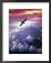 Seagull Flying Above The Clouds by Richard Stacks Limited Edition Pricing Art Print