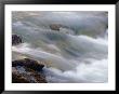 Flowing Stream At The Lewis And Clark National Forest by Joel Sartore Limited Edition Print