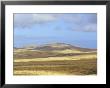 Volcanic Landscape Near La Oliva, Fuerteventura, Canary Islands, Spain, Atlantic by Marco Simoni Limited Edition Print