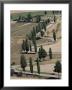Val D'orcia, Tuscany, Italy by Bruno Morandi Limited Edition Print