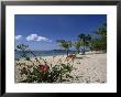 Palm Island, Near Young Island, The Grenadines, Windward Islands by Fraser Hall Limited Edition Print