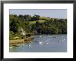 River Dart Estuary, Dartmouth, South Hams, Devon, England, United Kingdom by David Hughes Limited Edition Print