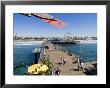 Santa Monica Pier, Santa Monica, California, Usa by Ethel Davies Limited Edition Print