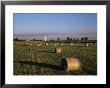 Fields, Thurne Broad, Norfolk, England, United Kingdom by Charles Bowman Limited Edition Print